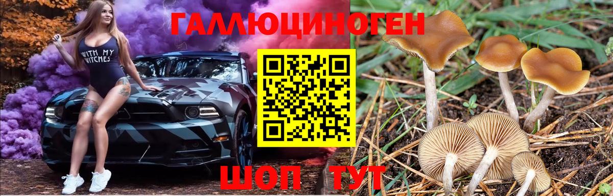 Белгород  Галлюциногенные грибы MAGIC MUSHROOMS  Псилоцибиновые грибы Magic Shrooms  Вход с VPN 