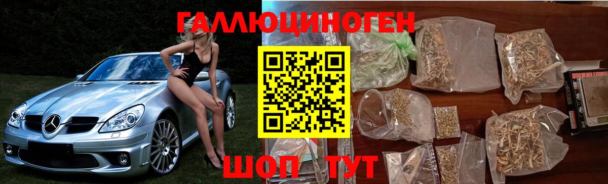 Галлюциногенные грибы Cubensis Белгород